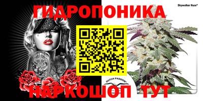 соль ск Нальчик