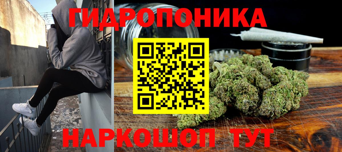 ГАШ Партизанск